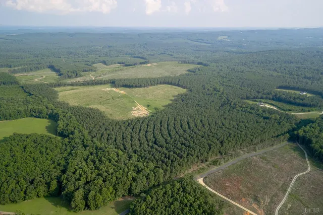 a view of outdoor space and garden