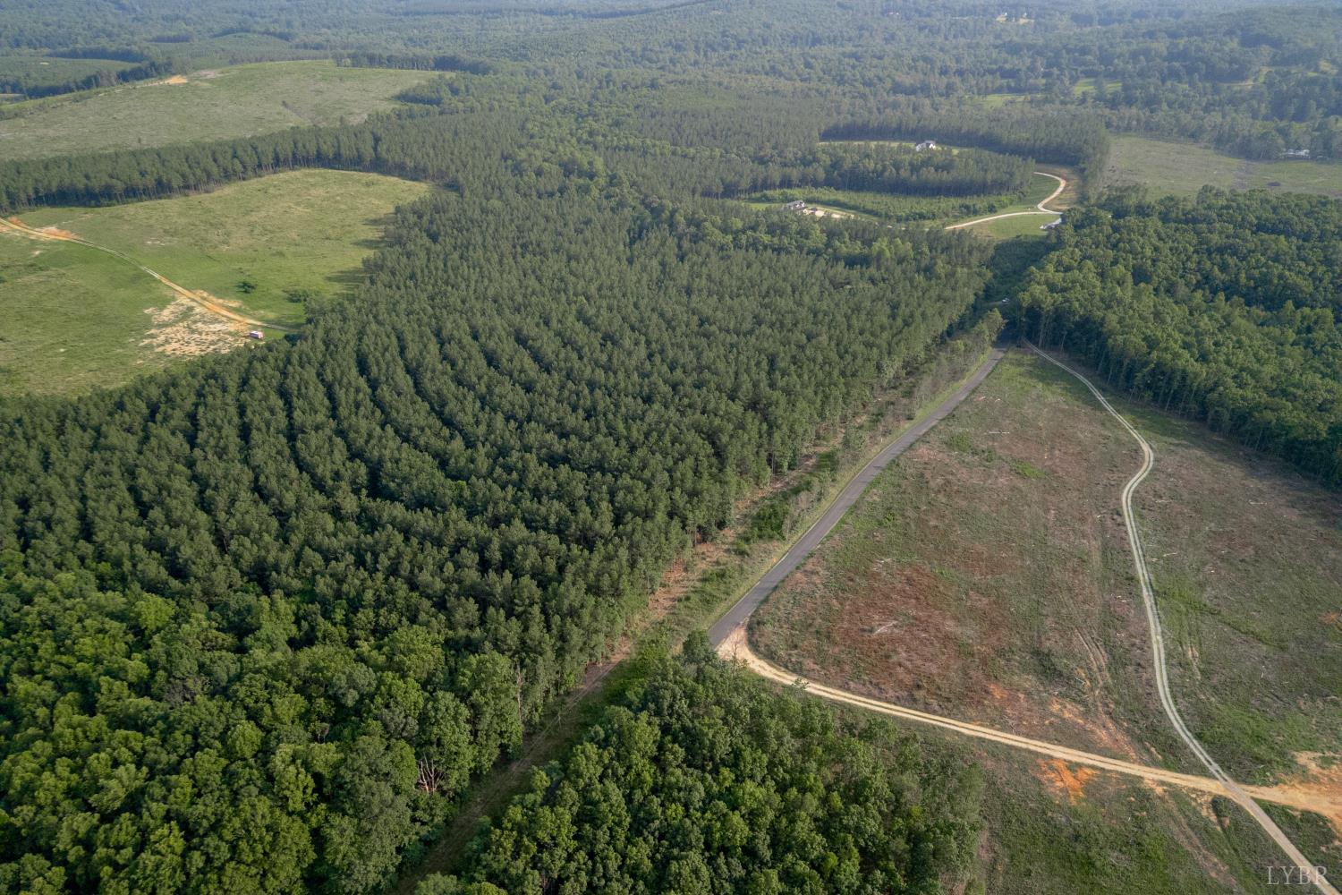 1100 Grandmas Hill Road Amherst, VA 24521 - Photo 8 of 19 a view of outdoor space and garden