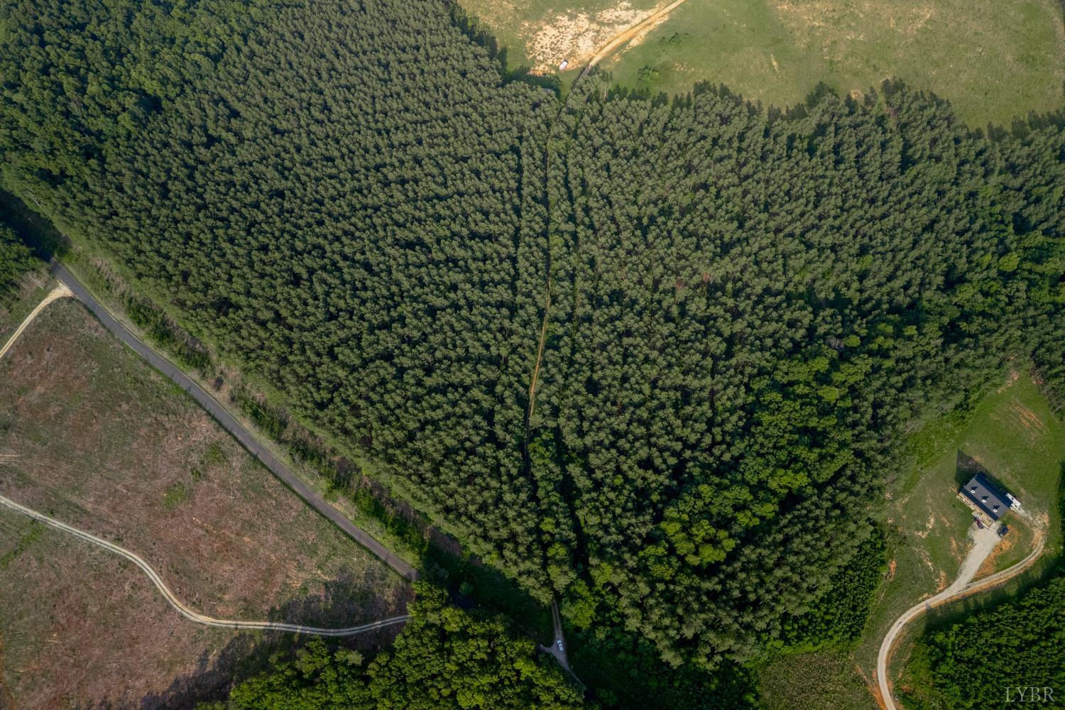 1100 Grandmas Hill Road Amherst, VA 24521 - Photo 9 of 19 a view of a yard