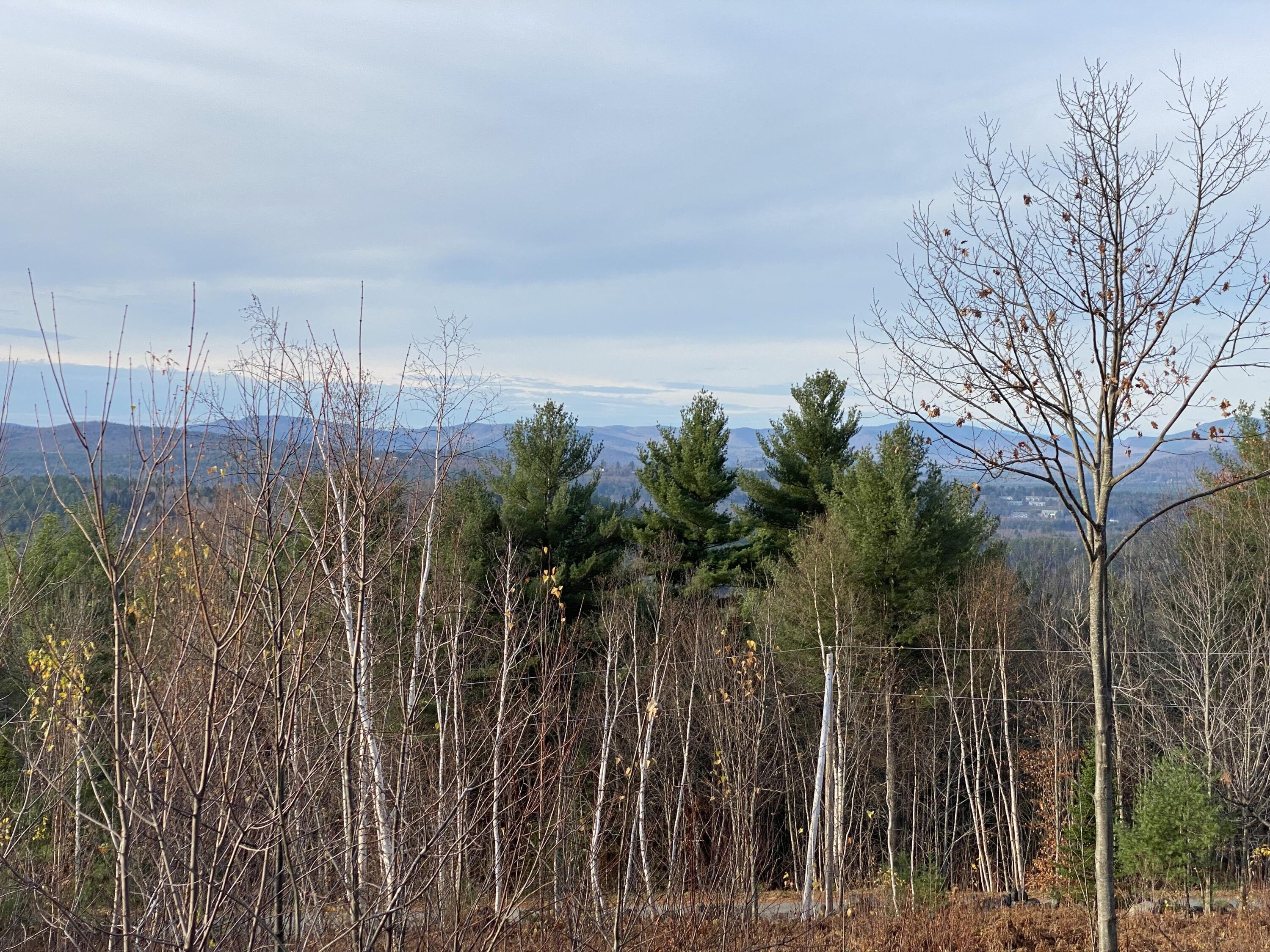 Lot #9 Taylor Smith Road Bethel, ME 04217 - Photo 9 of 22 Low Elevation Shot