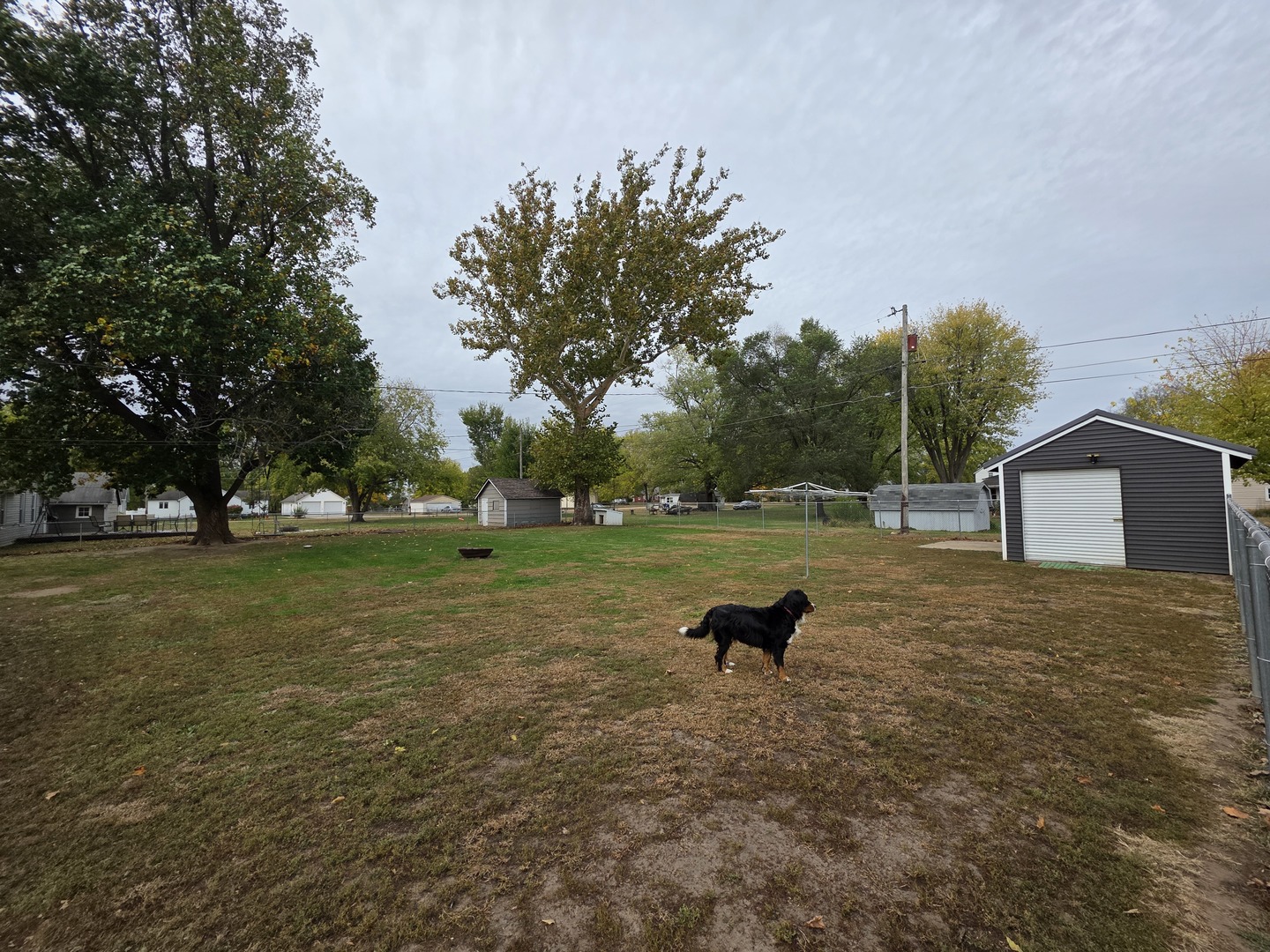 603 1st Street West Lyndon, IL 61261 - Photo 13 of 22 a view of backyard with green space