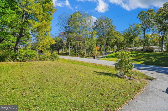a view of a yard with an outdoor space