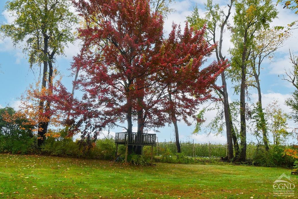 39 Birch Road Valatie, NY 12184 - Photo 3 of 30 Photo 3