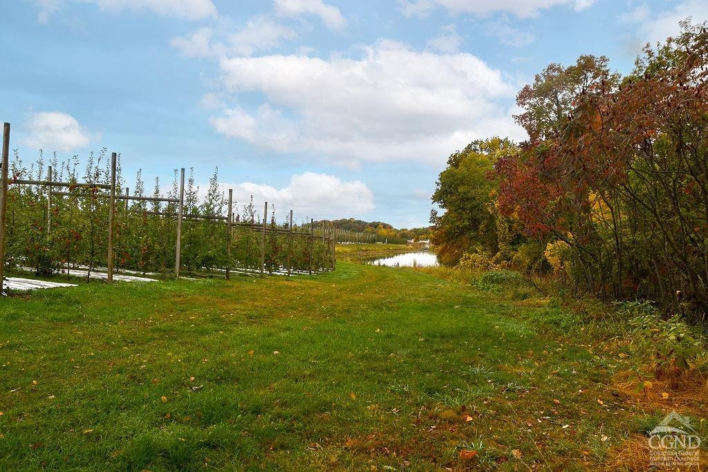 39 Birch Road Valatie, NY 12184 - Photo 4 of 30 Photo 4