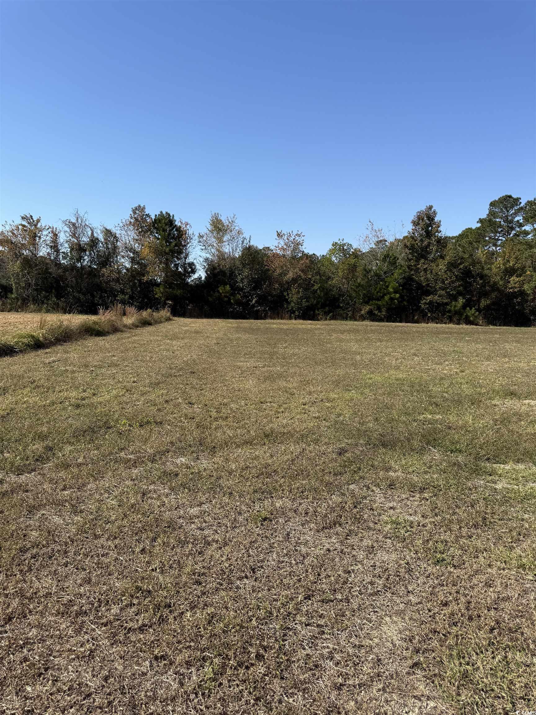 118 Quigley Place Aynor, SC 29544 - Photo 2 of 5