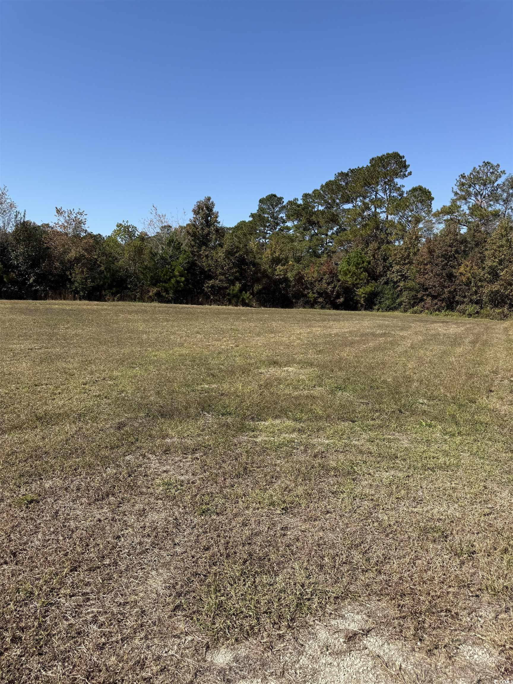 118 Quigley Place Aynor, SC 29544 - Photo 3 of 5