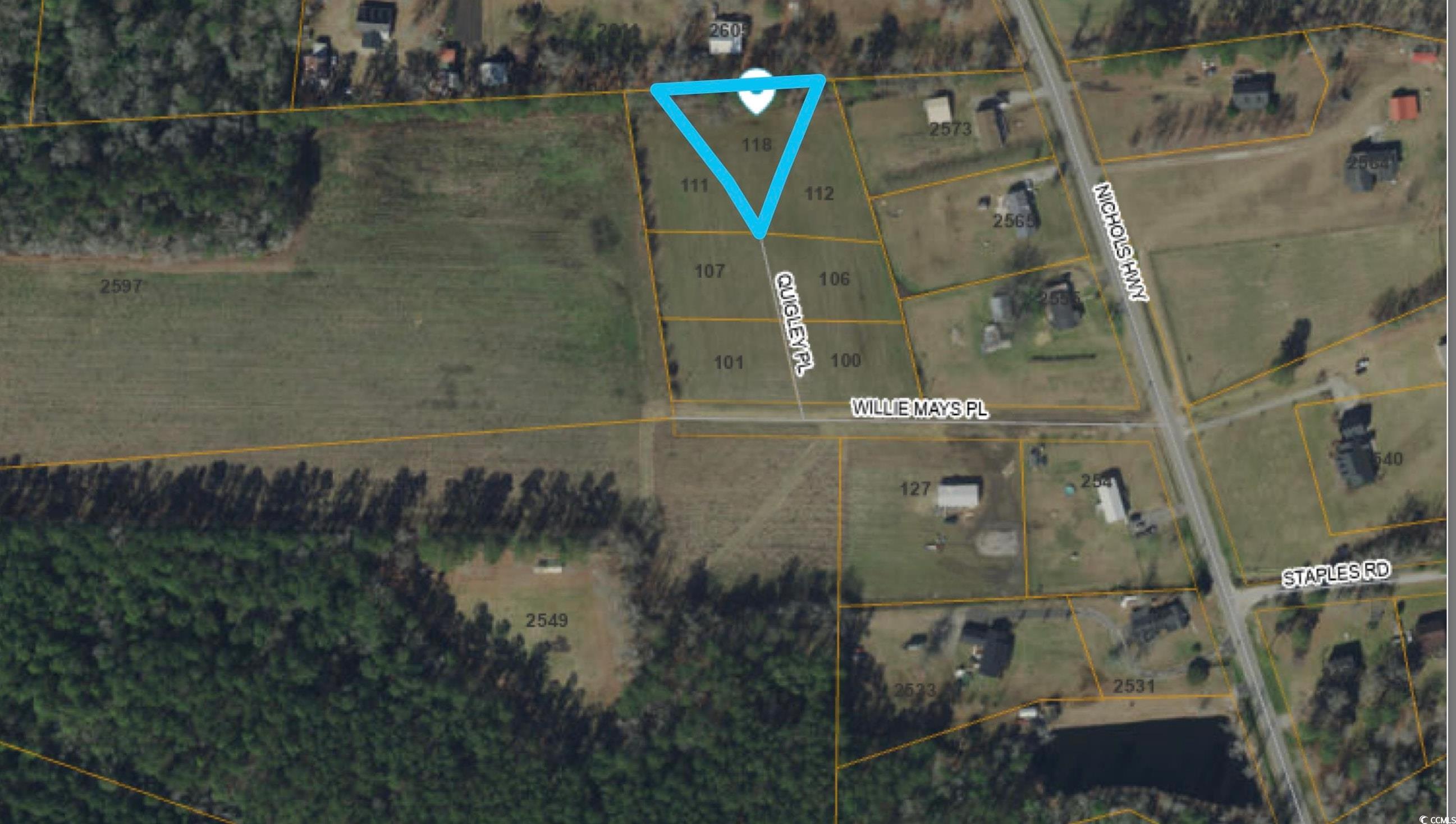 118 Quigley Place Aynor, SC 29544 - Photo 5 of 5