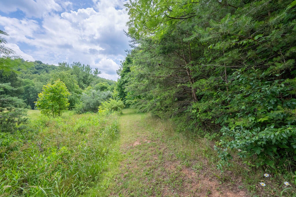 72-acres Trot Valley Road Stuart, VA 24171 - Photo 3 of 31 Gallery Image 3