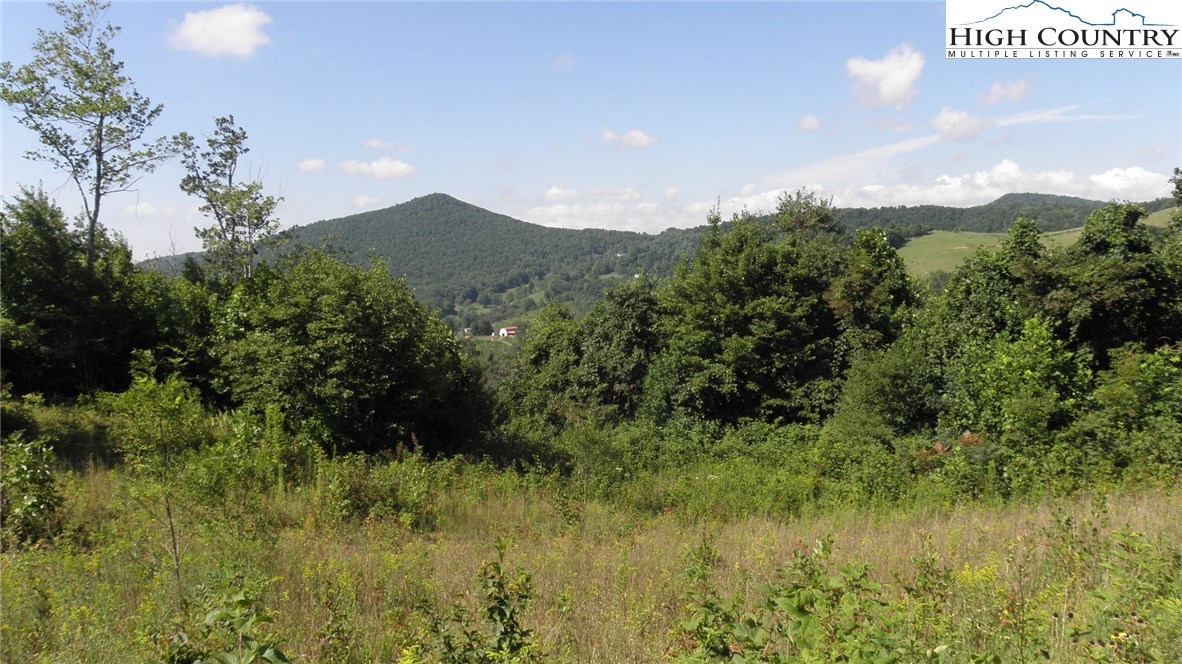 Milt Houck Road Todd, NC 28684 - Photo 12 of 24 Gallery Image 12