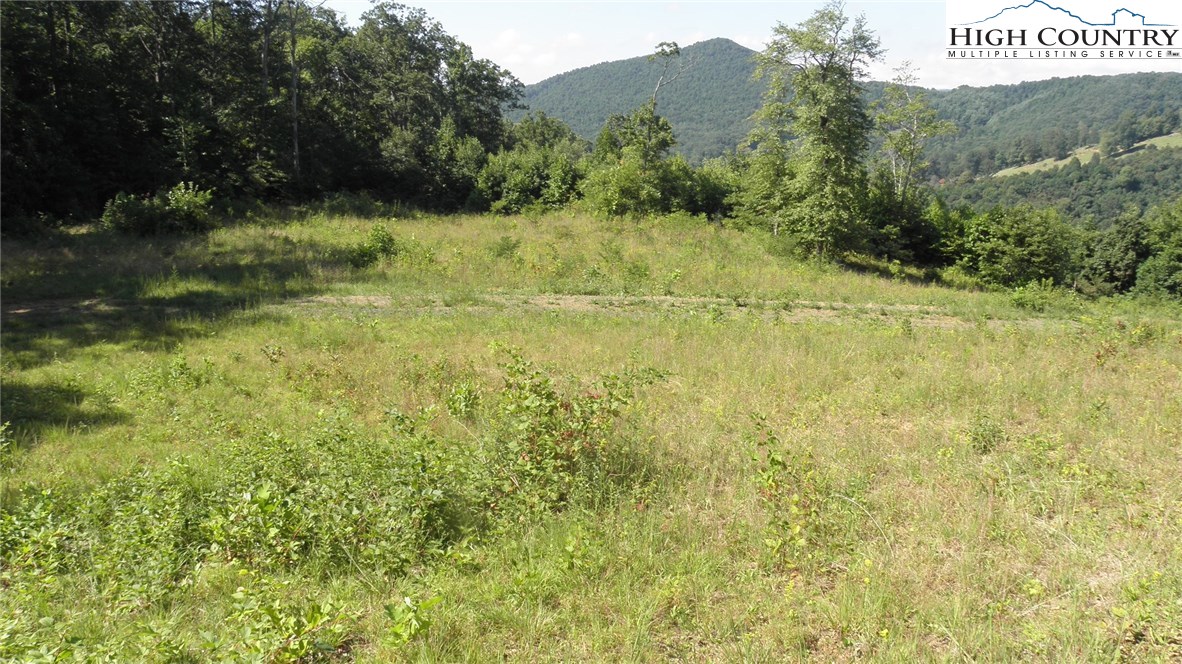 Milt Houck Road Todd, NC 28684 - Photo 13 of 24 Gallery Image 13