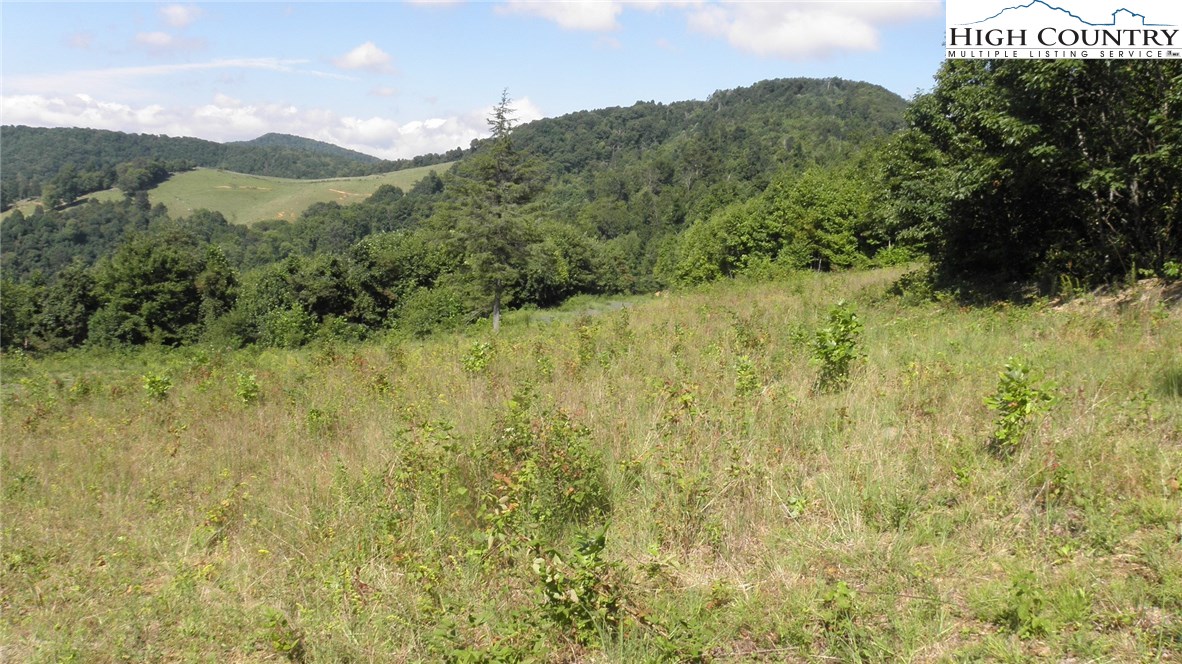 Milt Houck Road Todd, NC 28684 - Photo 14 of 24 Gallery Image 14