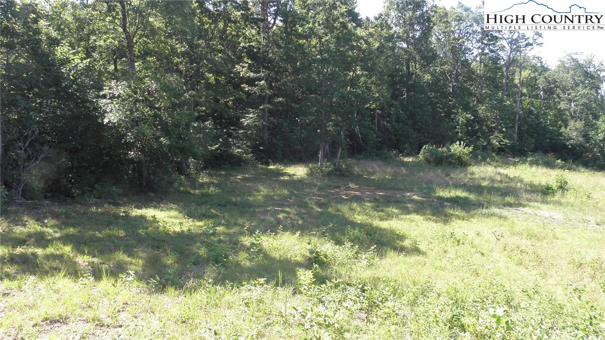 Milt Houck Road Todd, NC 28684 - Photo 15 of 24 Gallery Image 15