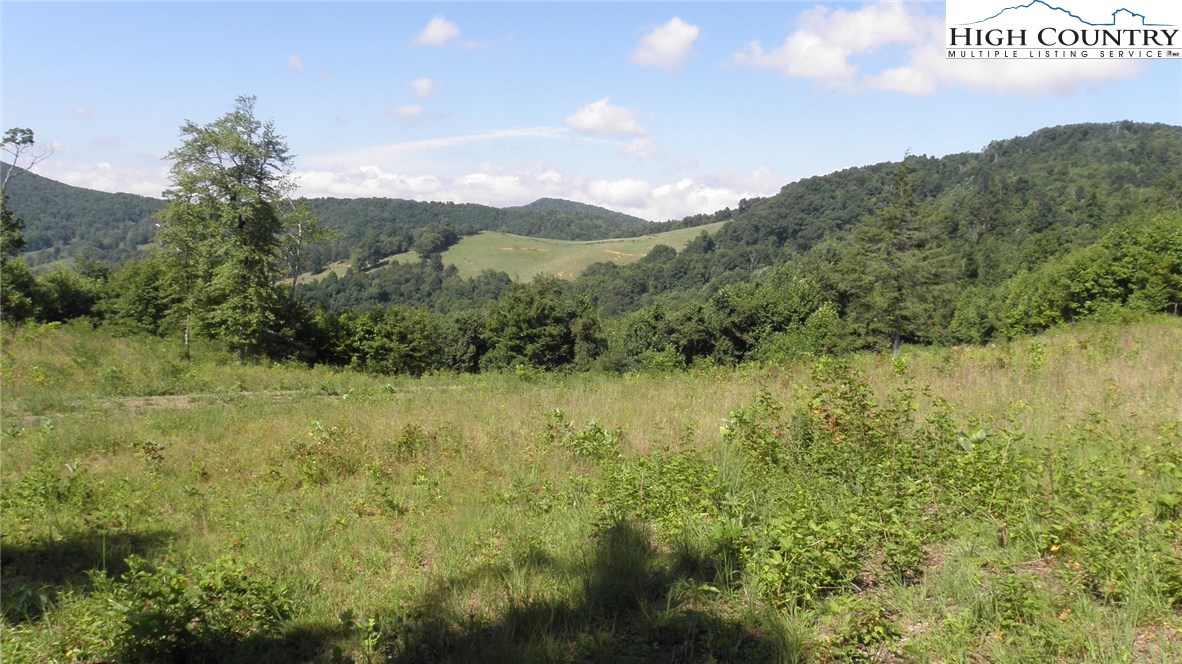 Milt Houck Road Todd, NC 28684 - Photo 16 of 24 Gallery Image 16