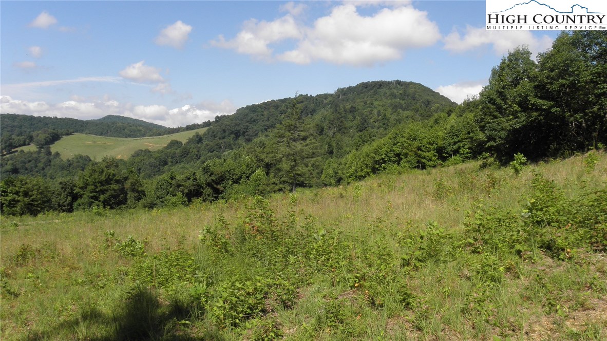 Milt Houck Road Todd, NC 28684 - Photo 17 of 24 Gallery Image 17