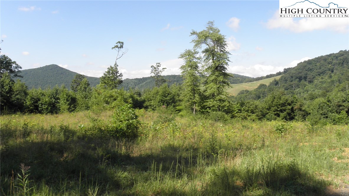 Milt Houck Road Todd, NC 28684 - Photo 20 of 24 Gallery Image 20