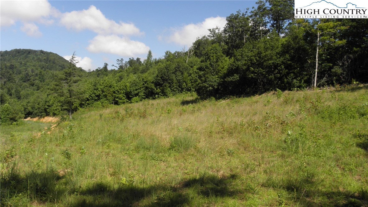Milt Houck Road Todd, NC 28684 - Photo 21 of 24 Gallery Image 21
