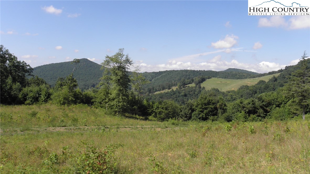 Milt Houck Road Todd, NC 28684 - Photo 22 of 24 Gallery Image 22