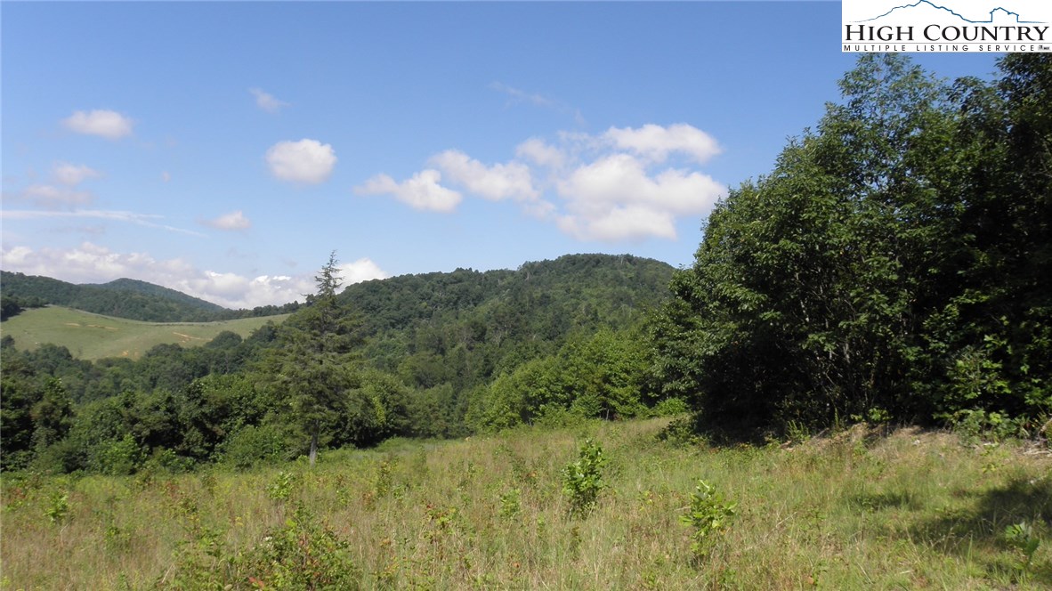 Milt Houck Road Todd, NC 28684 - Photo 24 of 24 Gallery Image 24