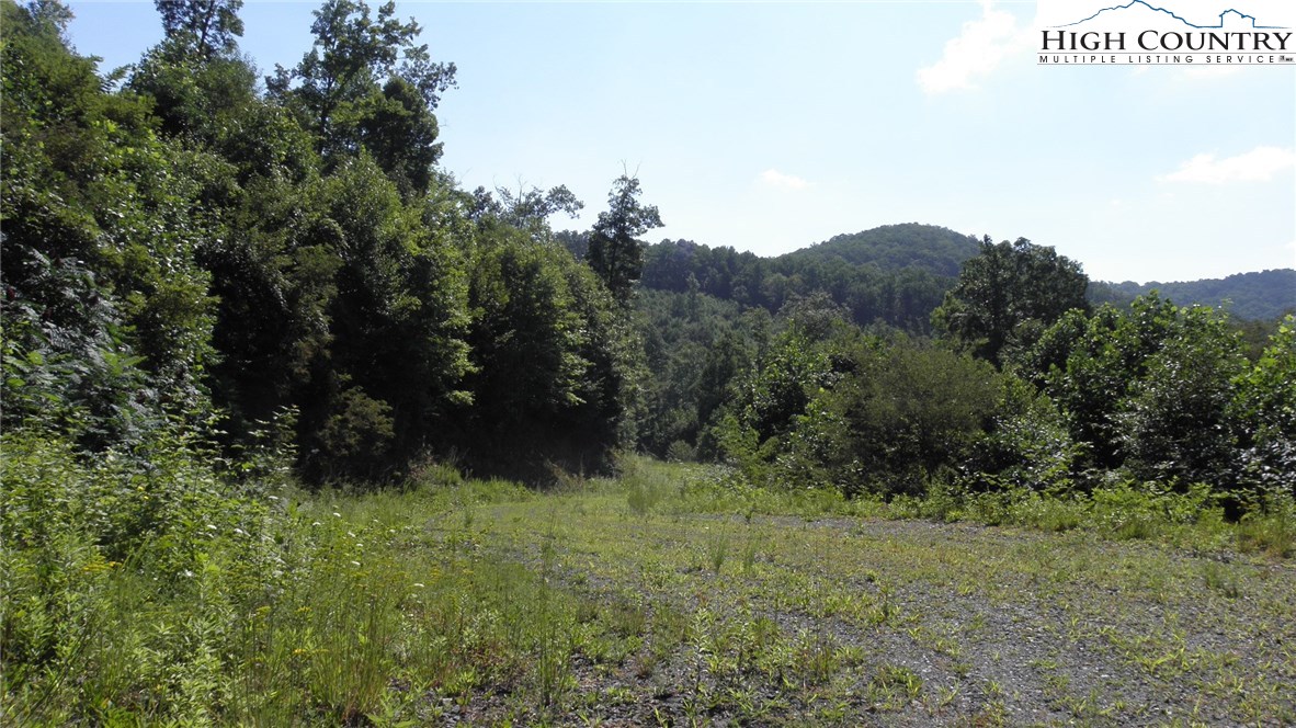 Milt Houck Road Todd, NC 28684 - Photo 10 of 24 Gallery Image 10