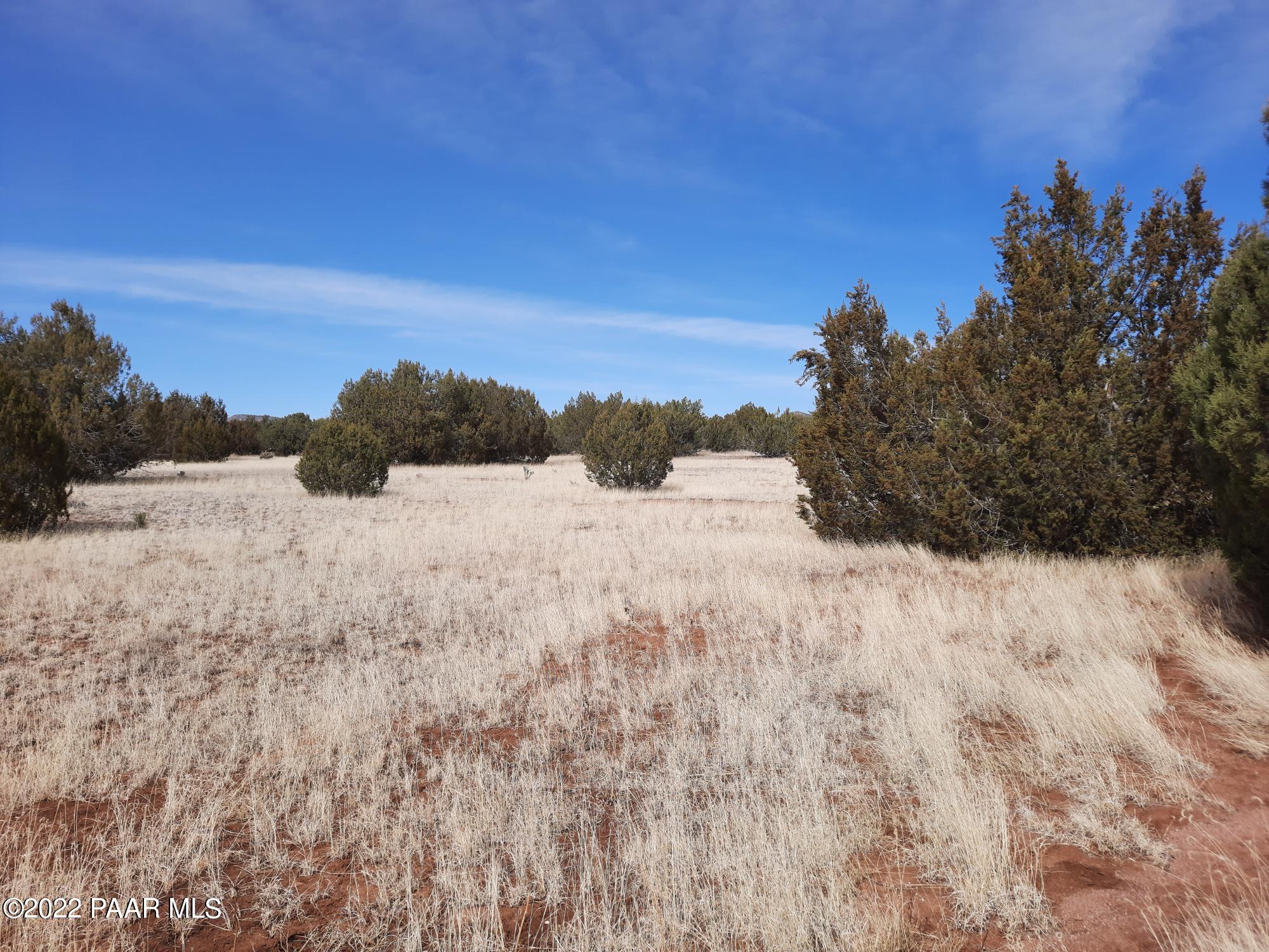 Lot 562 West Howling Coyote Road Seligman, AZ 86337 - Photo 12 of 14 20220313_135540