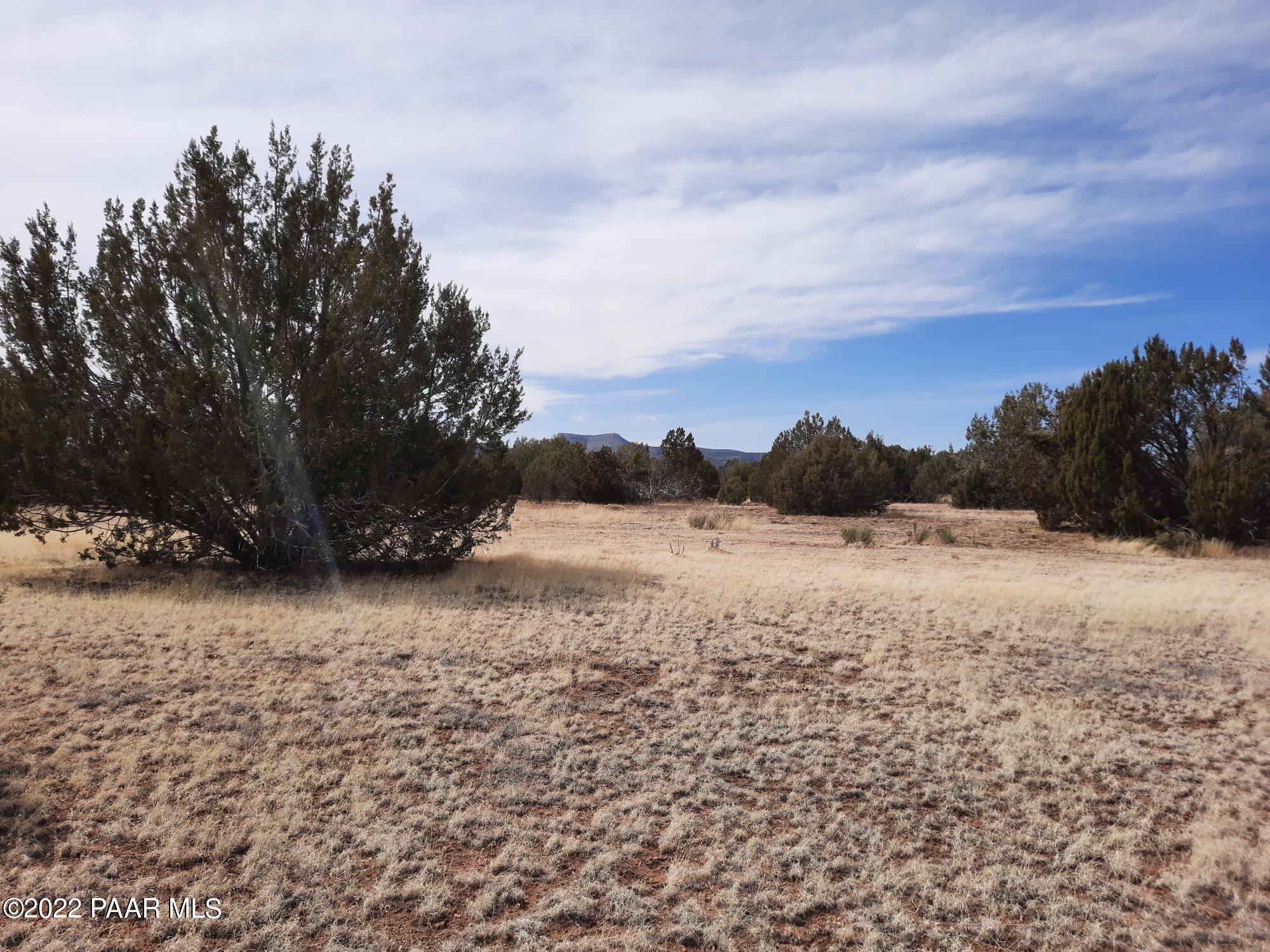 Lot 562 West Howling Coyote Road Seligman, AZ 86337 - Photo 8 of 14 20220313_134658