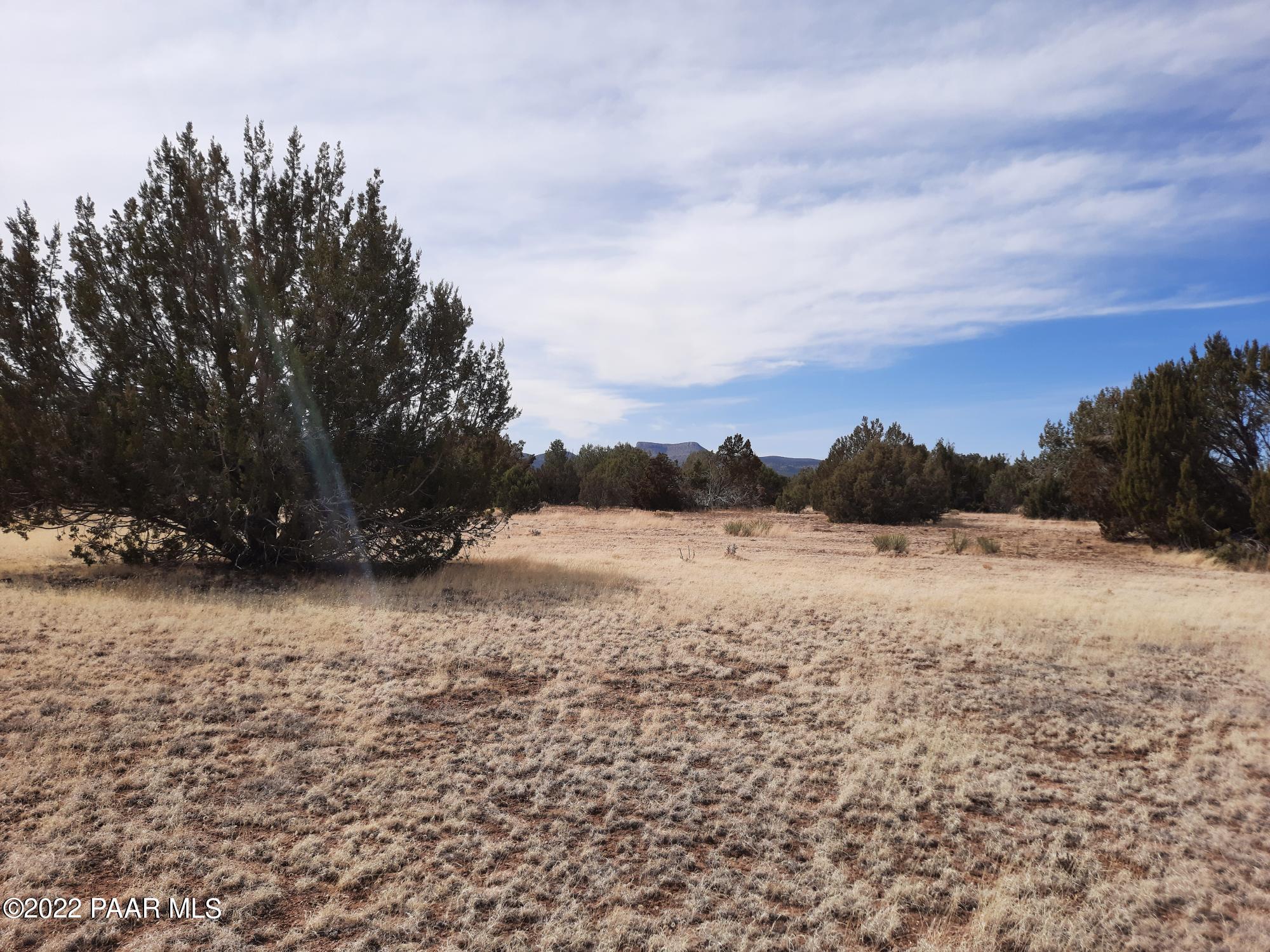 Lot 562 West Howling Coyote Road Seligman, AZ 86337 - Photo 9 of 14 20220313_134705