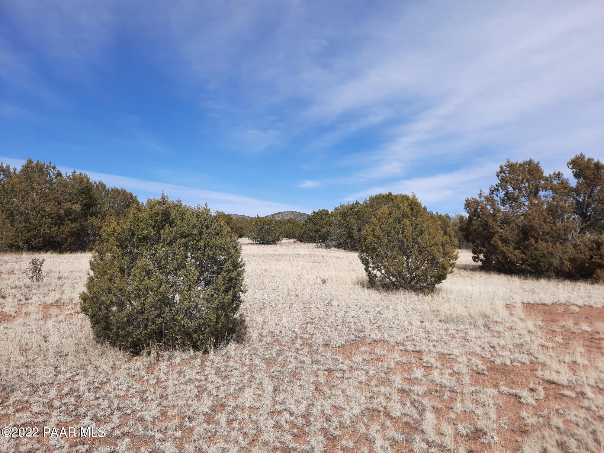 Lot 562 West Howling Coyote Road Seligman, AZ 86337 - Photo 10 of 14 20220313_134819