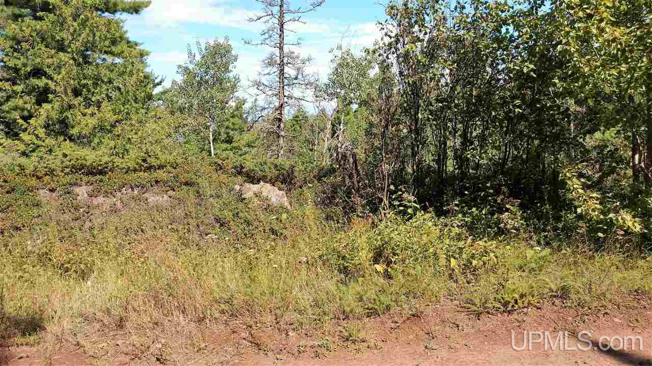 Tbd Goodell Road, Unit 7 Mohawk, MI 49950 - Photo 11 of 13