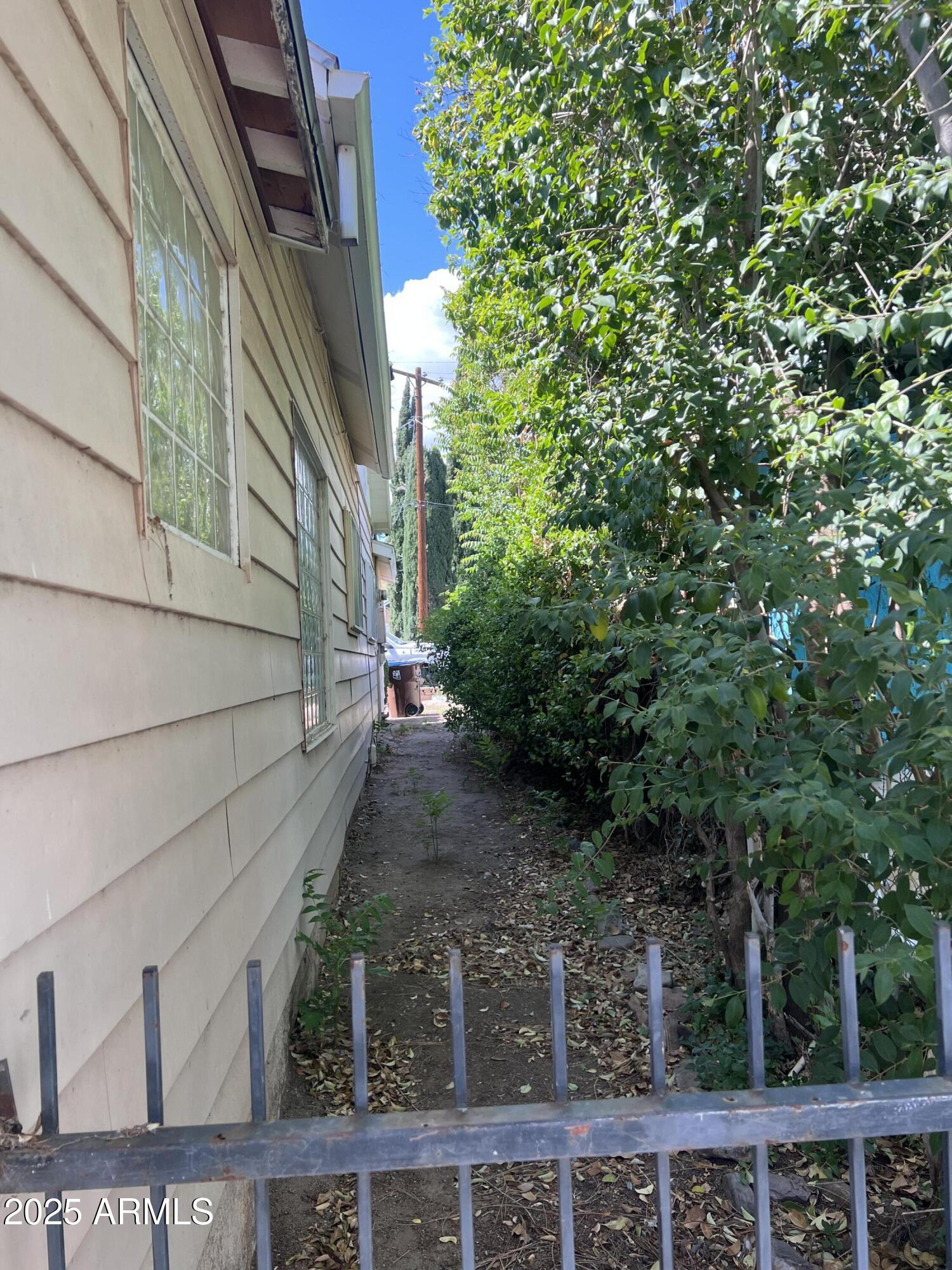 566 Carico Street Globe, AZ 85501 - Photo 4 of 22 a view of a yard with plants