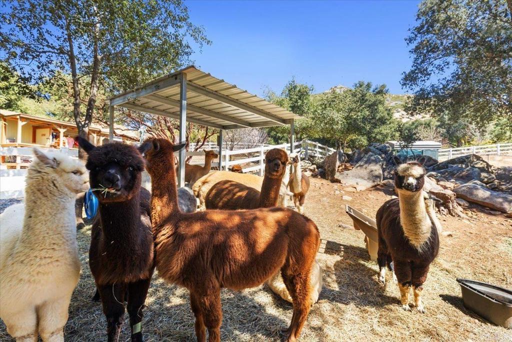10499 Highway 79 Descanso, CA 91916 - Photo 4 of 75 a view of a house with backyard and sitting area