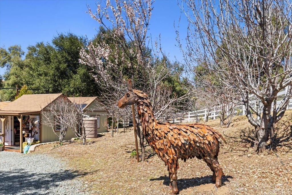 10499 Highway 79 Descanso, CA 91916 - Photo 56 of 75 a view of a house with a yard and sitting area