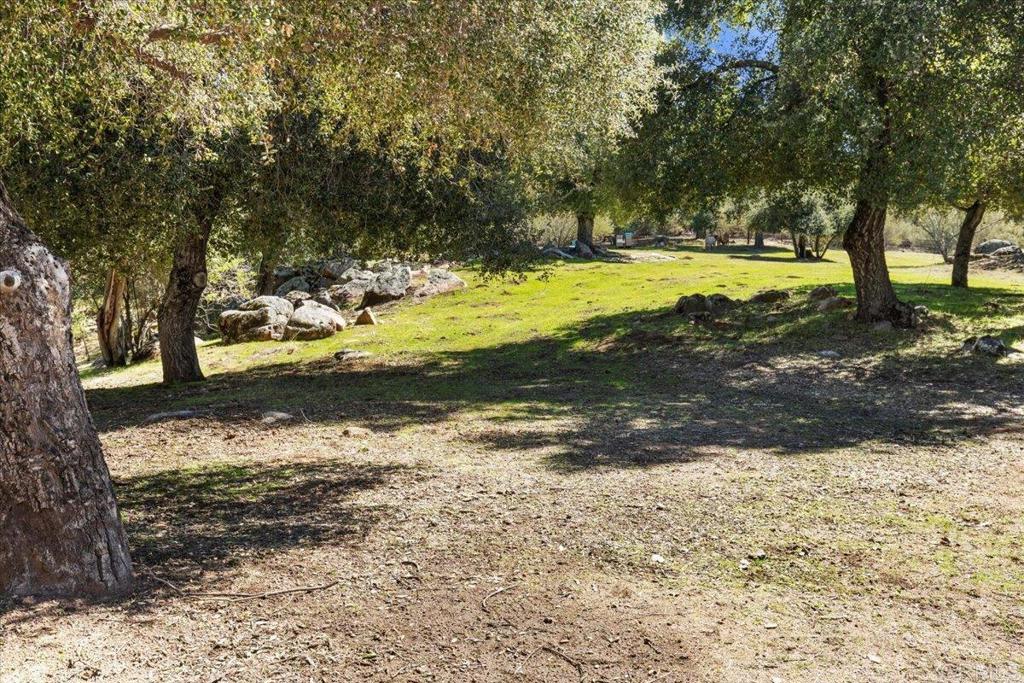10499 Highway 79 Descanso, CA 91916 - Photo 62 of 75 a view of a yard with swimming pool