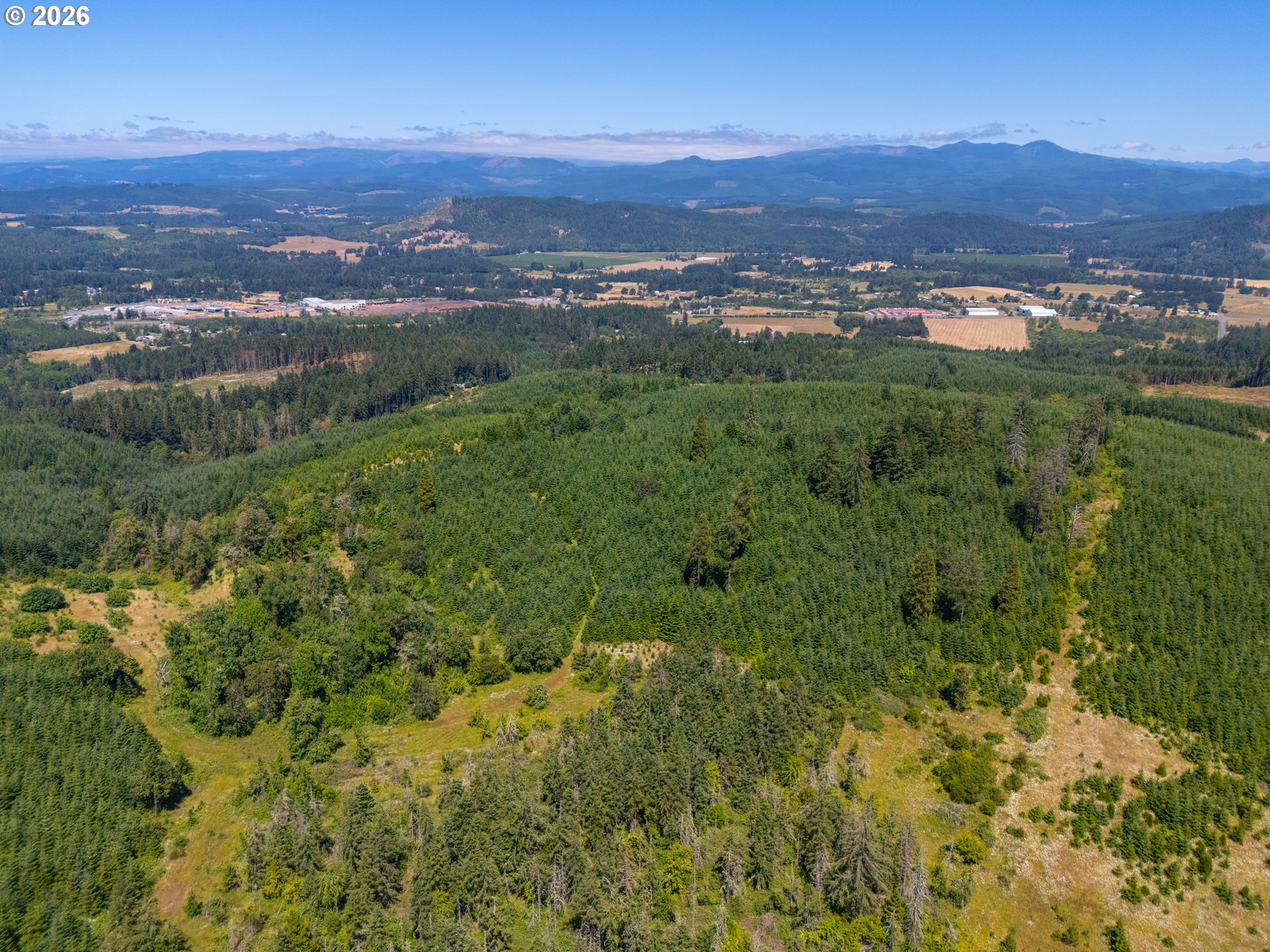 29852 Ingram Road Lebanon, OR 97355 - Photo 8 of 17