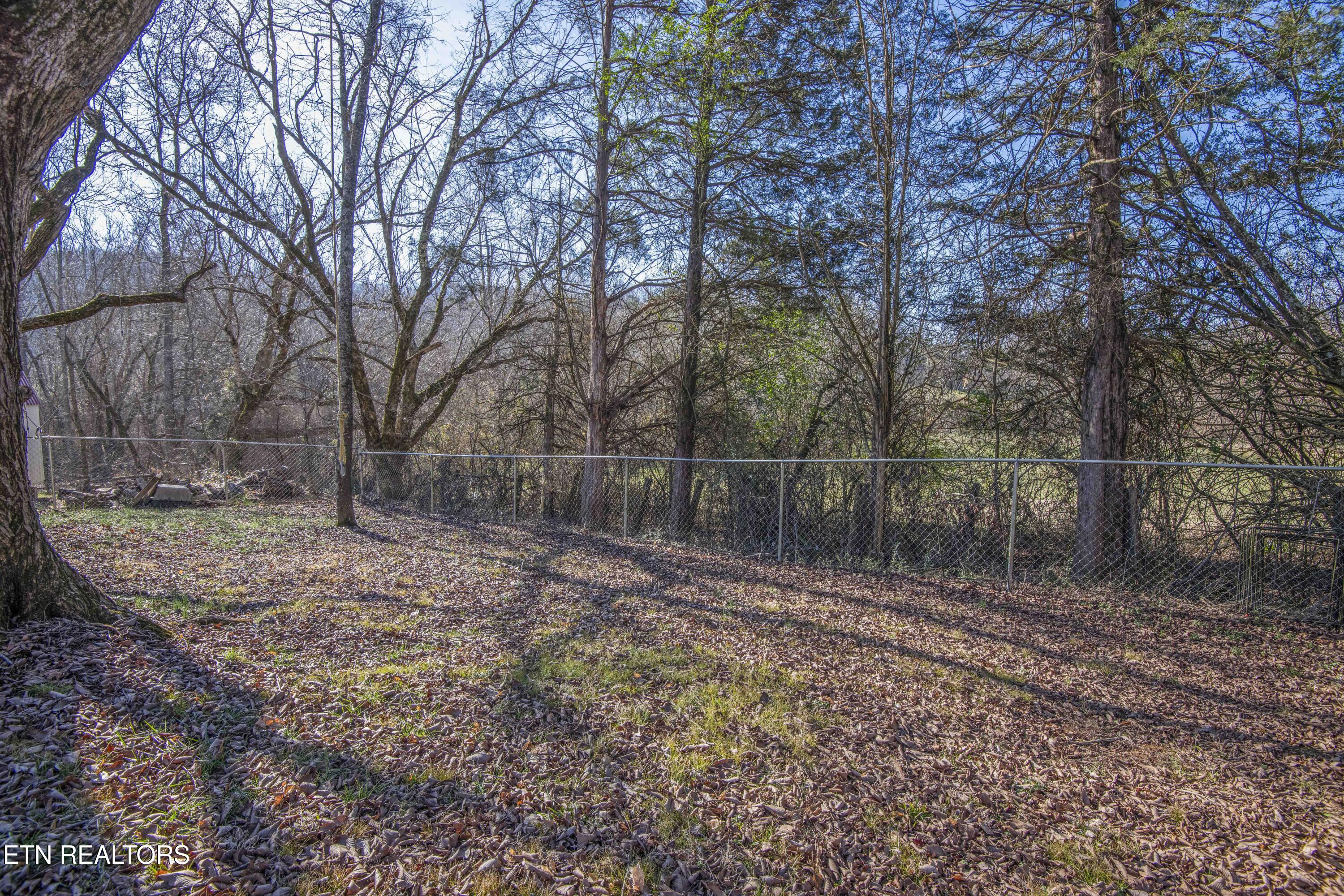 6853 Fraker Road Knoxville, TN 37918 - Photo 7 of 48 yard_1