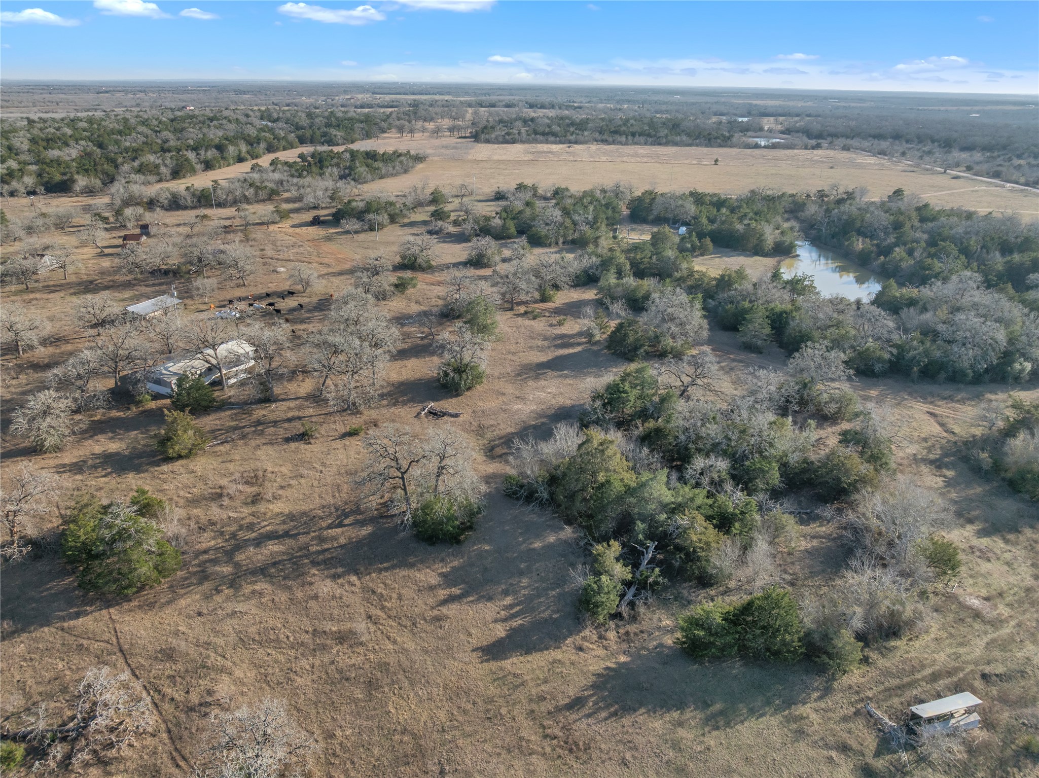 895 Patterson Road Flatonia, TX 78941 - Photo 20 of 21 Overview of rural landscape