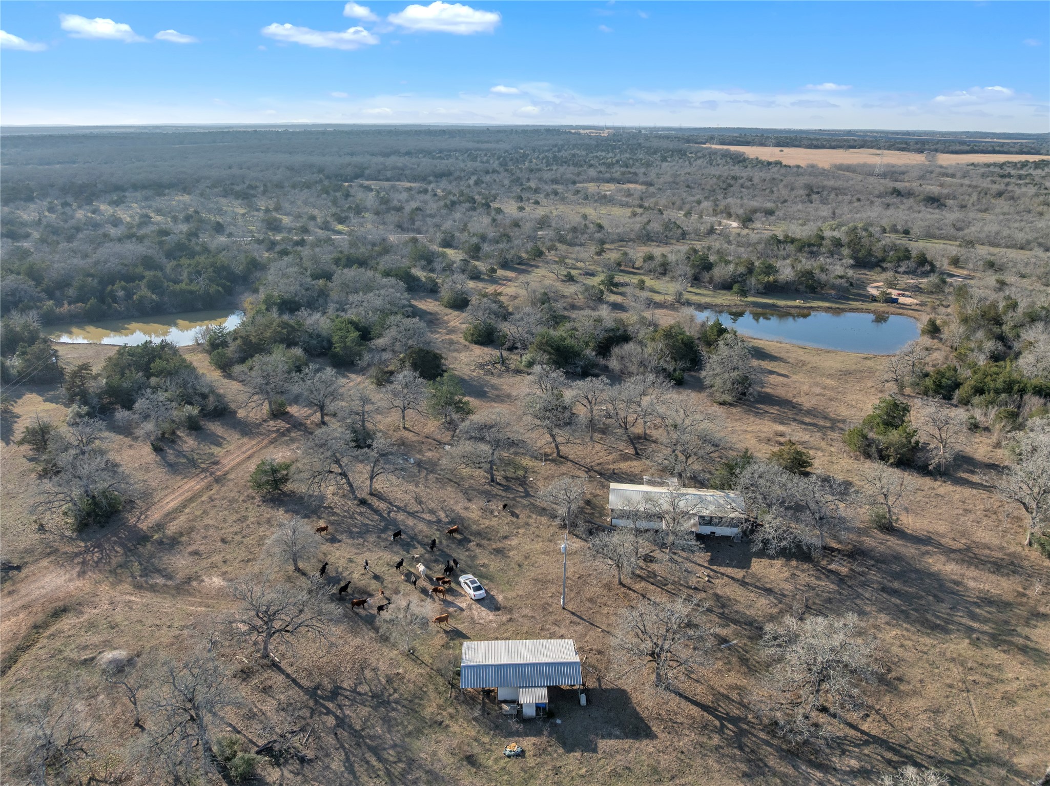 895 Patterson Road Flatonia, TX 78941 - Photo 21 of 21 Aerial view of a nearby body of water