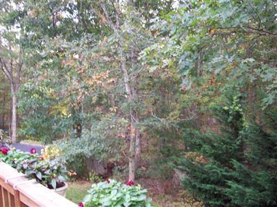 39 Princess Path Dennis, MA 02660 - Photo 30 of 31 Additional Photo