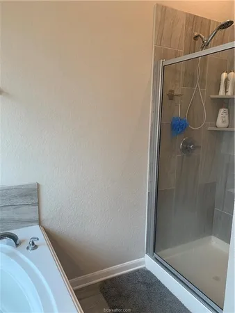 a bathroom with a shower and a sink