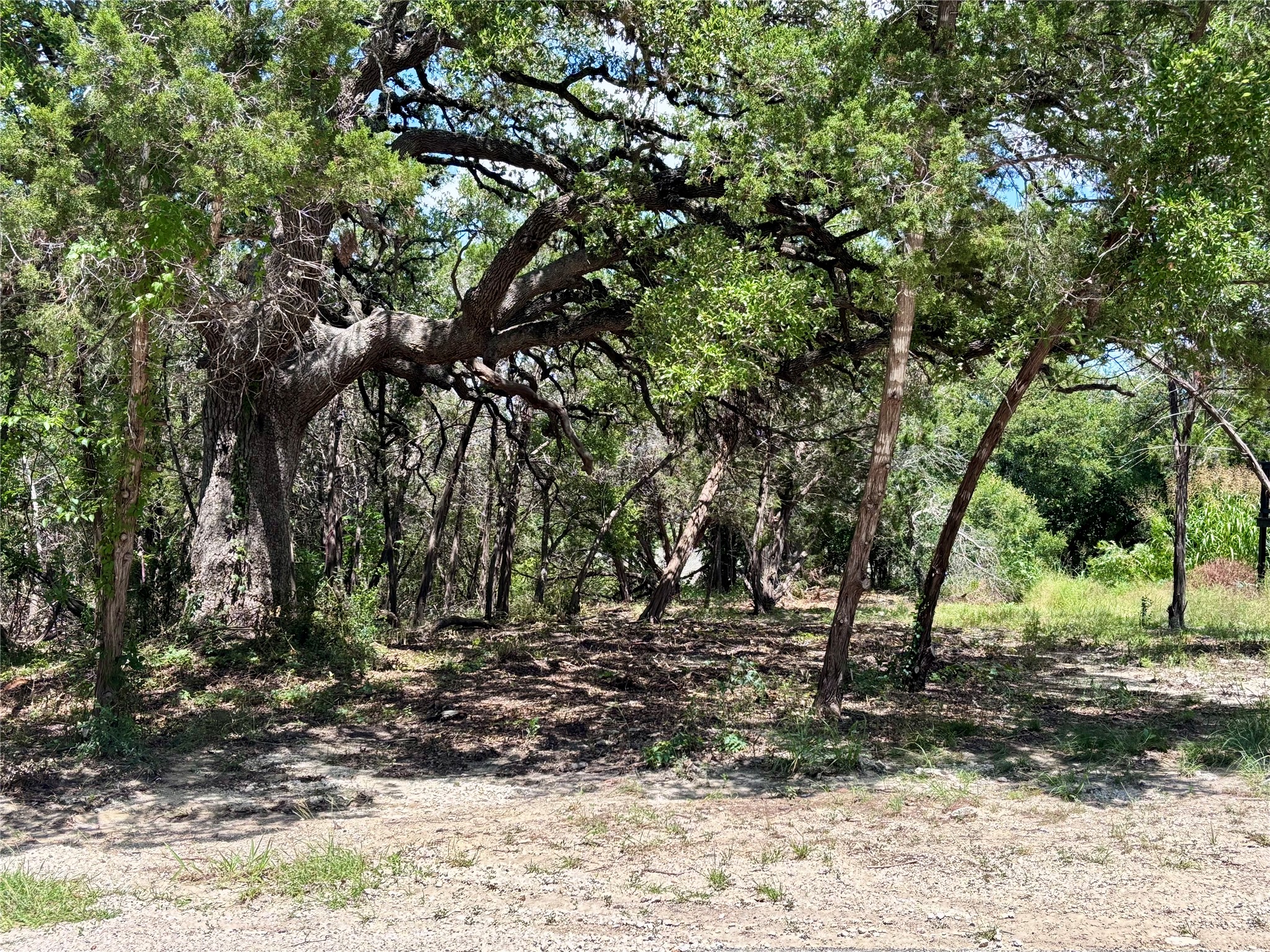 a view of backyard space