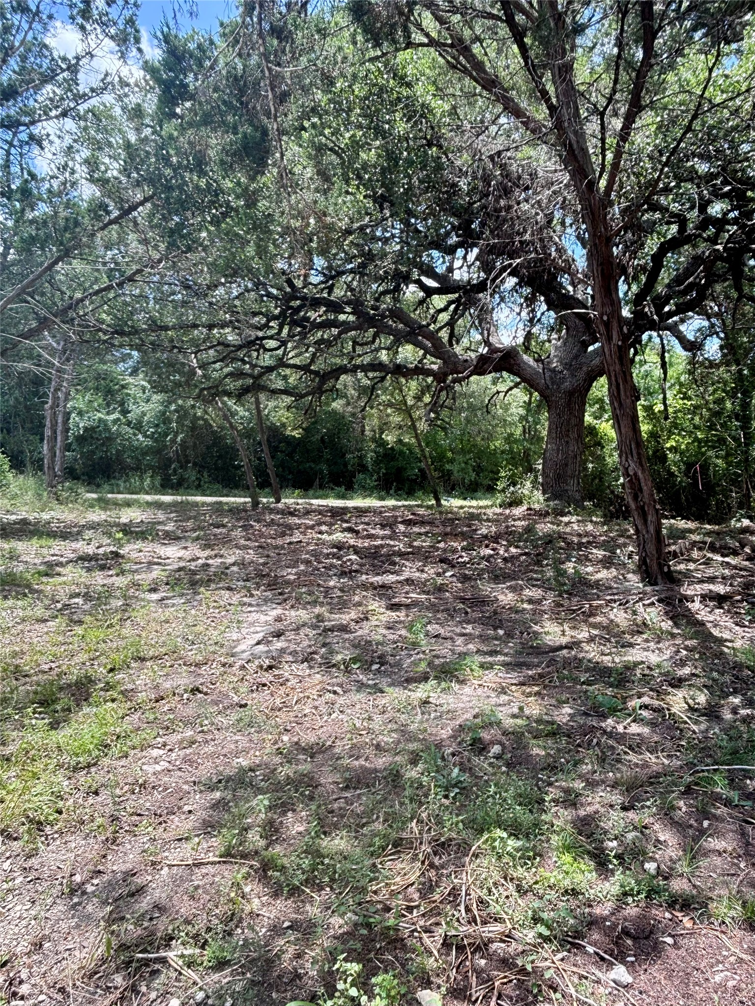 Tbd South Contour Drive Spring Branch, TX 78070 - Photo 2 of 7 a view of a field with trees in the background