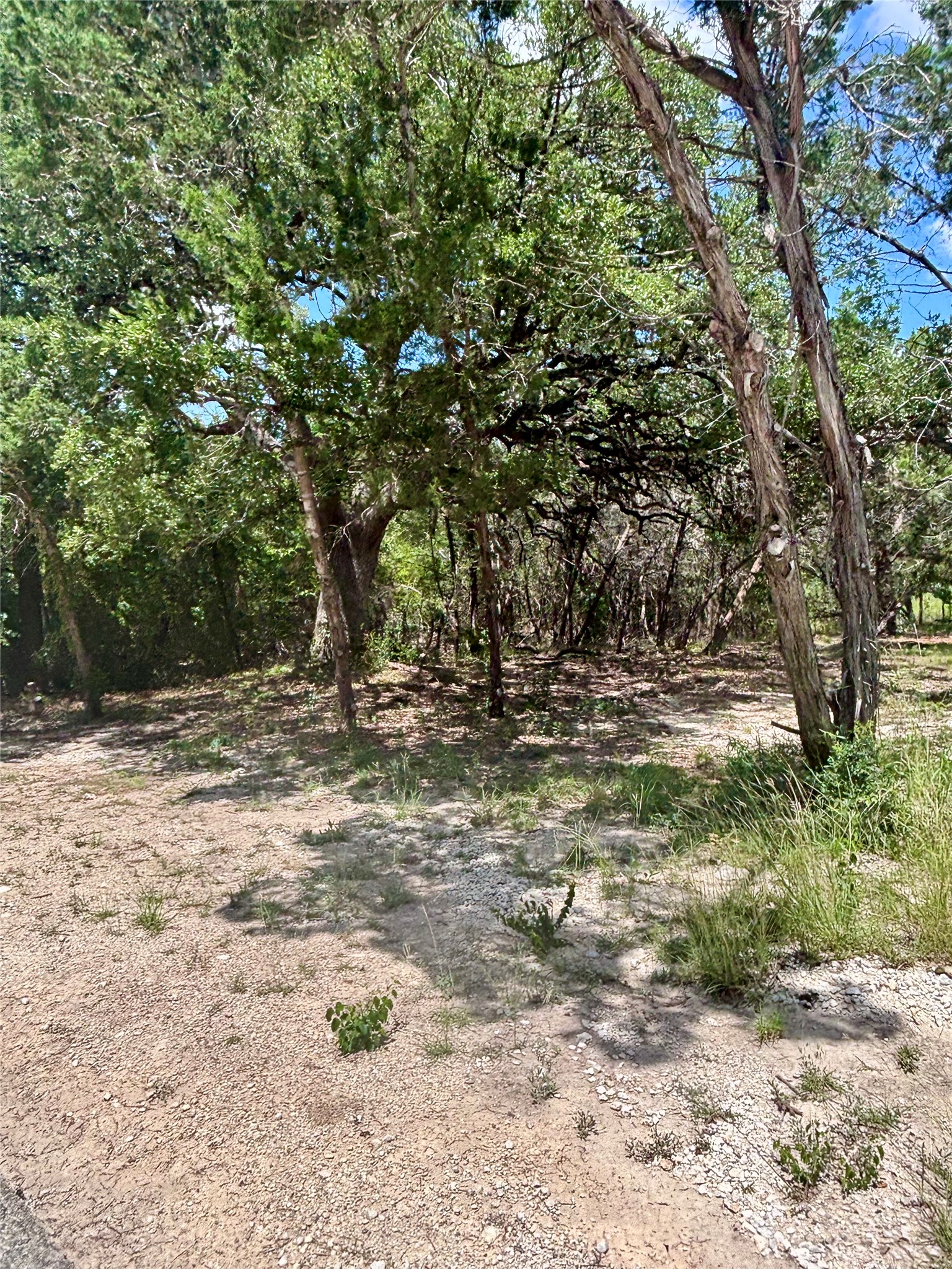 Tbd South Contour Drive Spring Branch, TX 78070 - Photo 3 of 7 a view of outdoor space with trees