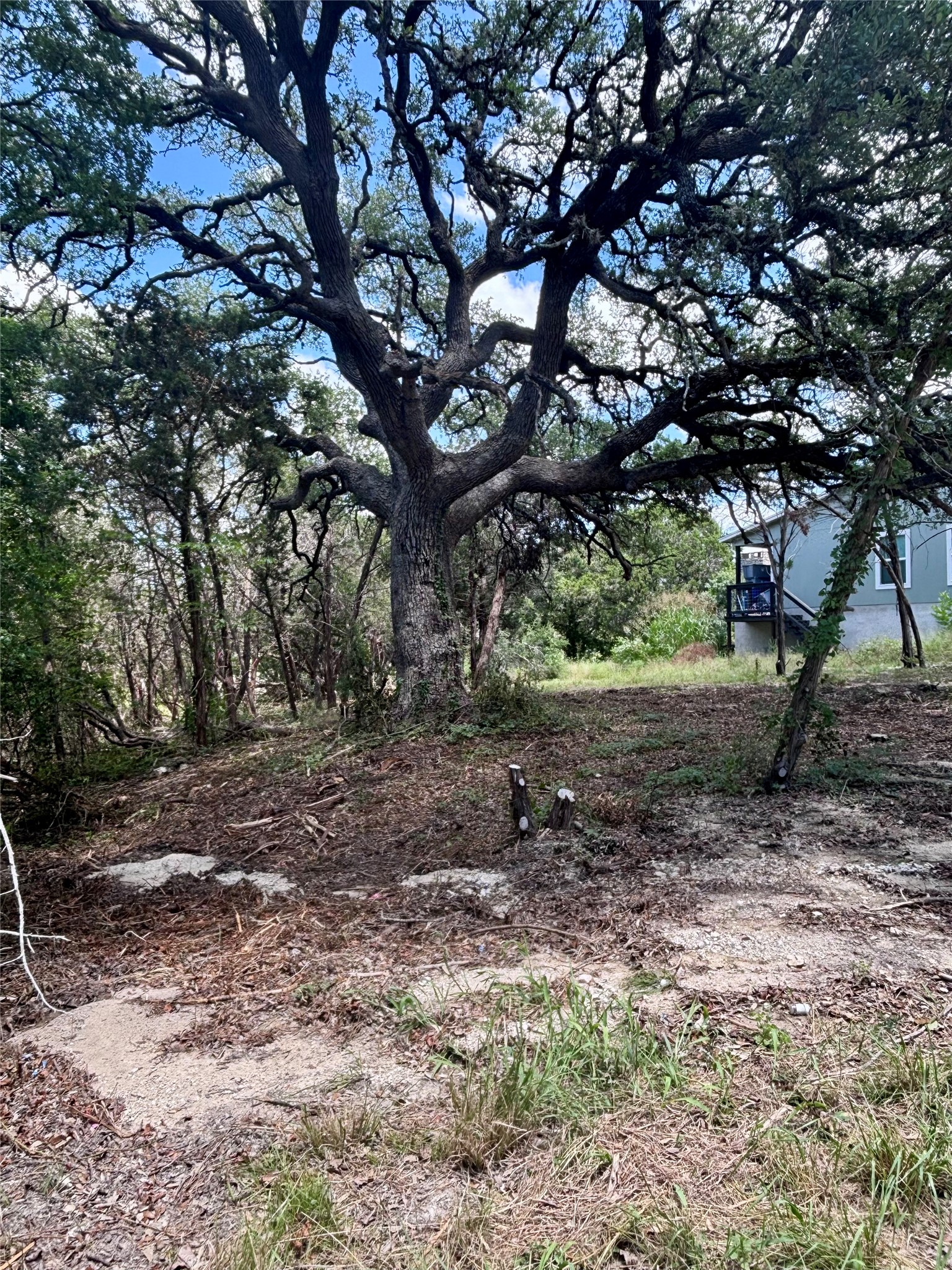 Tbd South Contour Drive Spring Branch, TX 78070 - Photo 5 of 7 a view of a yard with plants and trees