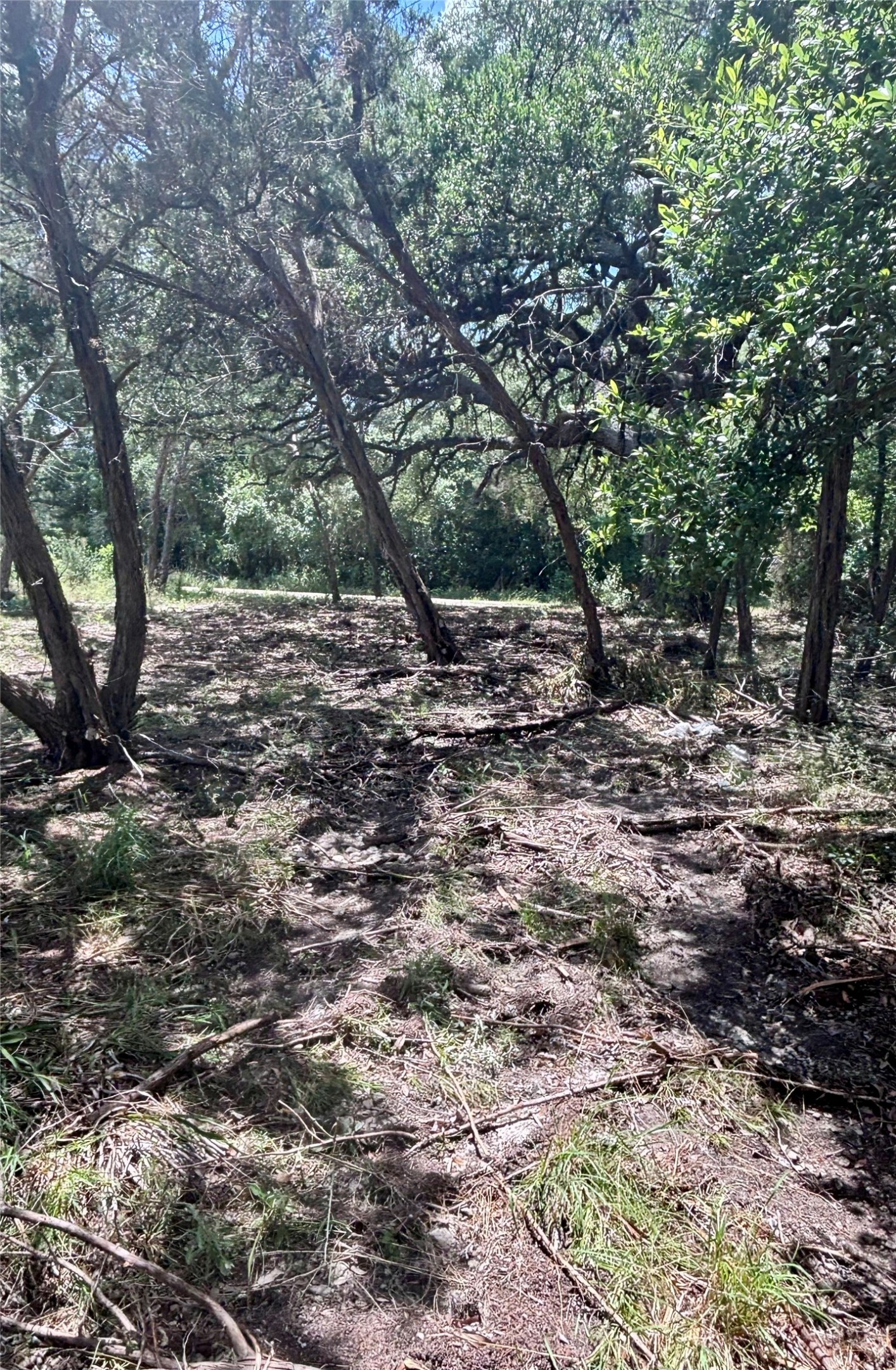 Tbd South Contour Drive Spring Branch, TX 78070 - Photo 7 of 7 a view of a yard with plants and trees