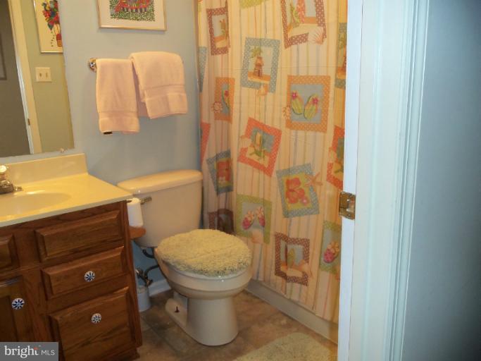 580 Quaker Ridge Court Arnold, MD 21012 - Photo 20 of 26 Full bathroom
