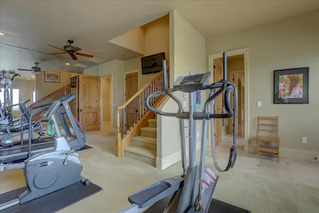 a view of a lush green field with a tree in the background