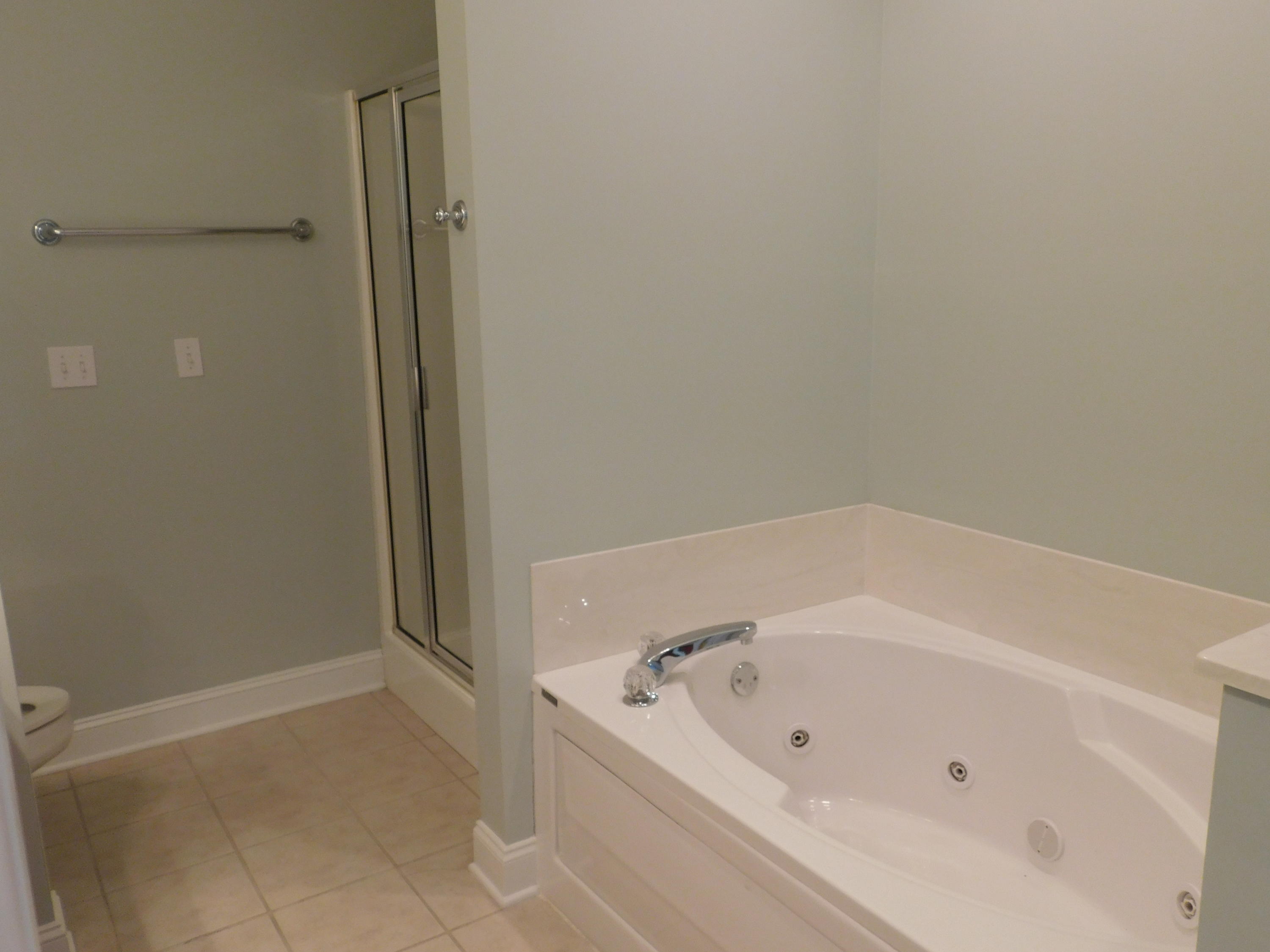 110 Fallberry Street Oak Ridge, TN 37830 - Photo 12 of 24 Master Bathroom with Jetted Tub