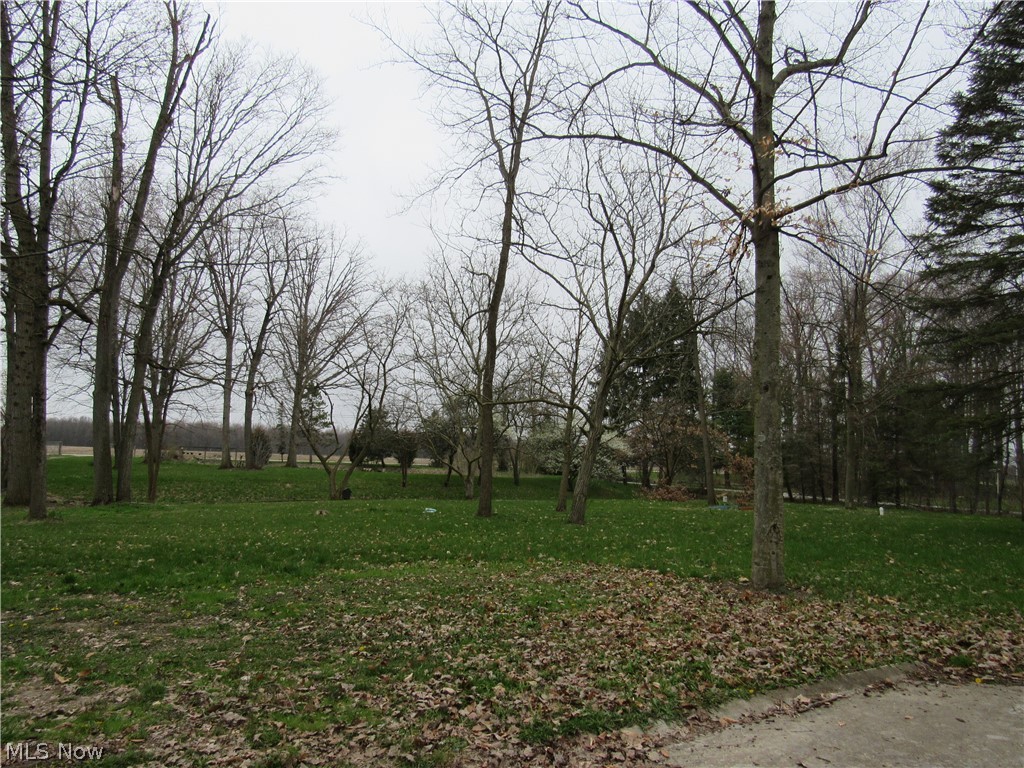 40430 Webster Road Lagrange, OH 44050 - Photo 31 of 32 Gallery Image 31
