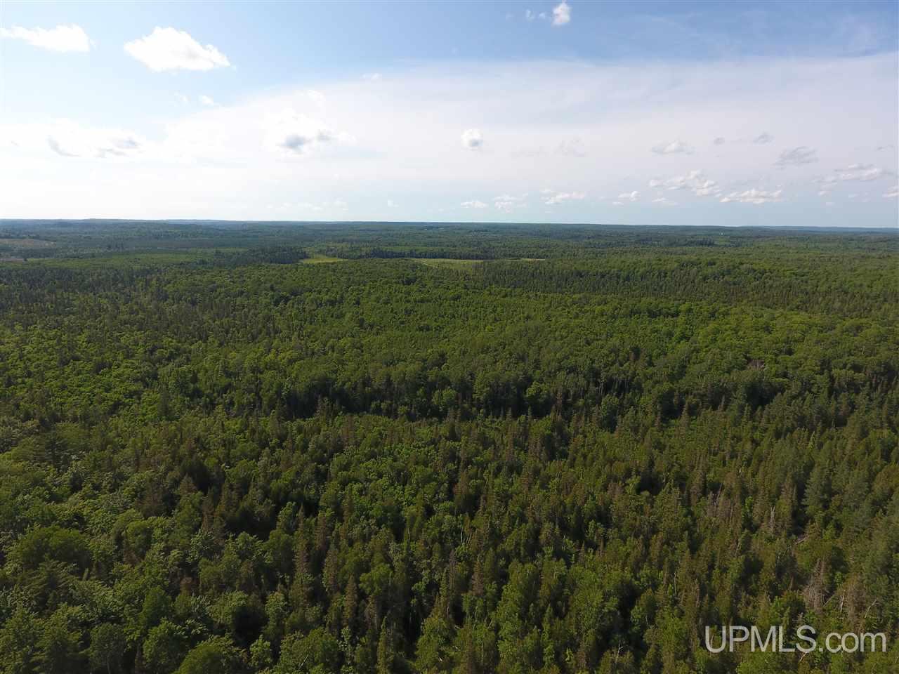 Tbd Co Rd Ppl Ishpeming, MI 49849 - Photo 17 of 30