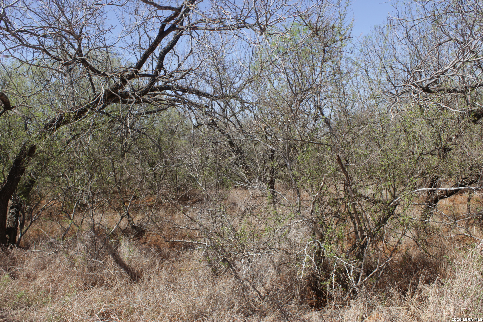 200 Rogers Ranch Road Big Wells, TX 78830 - Photo 2 of 13
