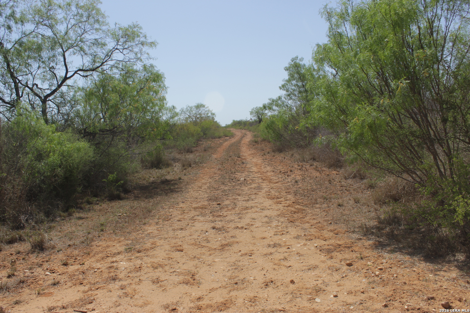 200 Rogers Ranch Road Big Wells, TX 78830 - Photo 4 of 13